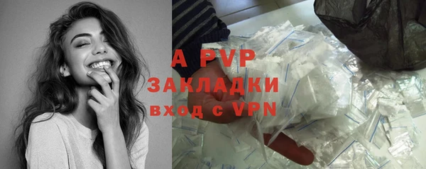 крисы Абаза