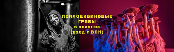 крисы Абаза