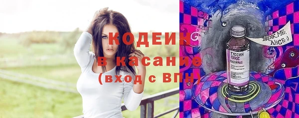 крисы Абаза