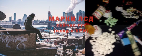 крисы Абаза